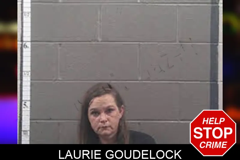 Laurie Goudelock mugshot