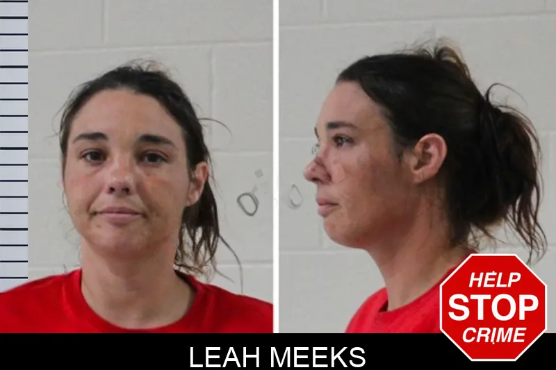 Leah Meeks mugshot