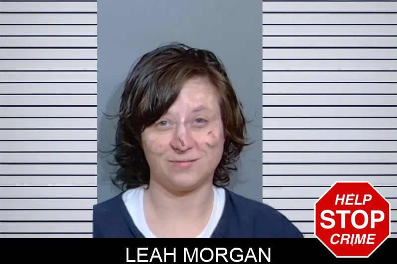 Leah Morgan mugshot – Glynn County , Georgia Leah Morgan mugshot