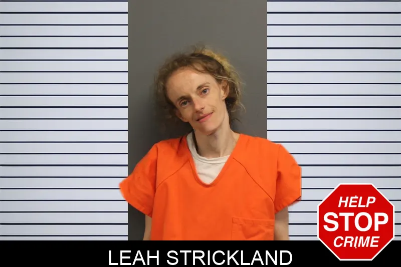 Leah Strickland mugshot