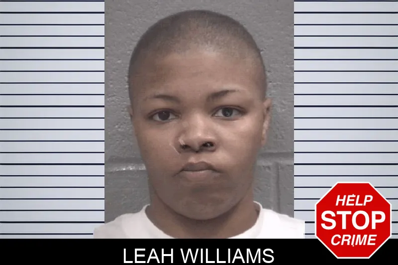Leah Williams mugshot – Columbia County , Georgia Leah Williams mugshot