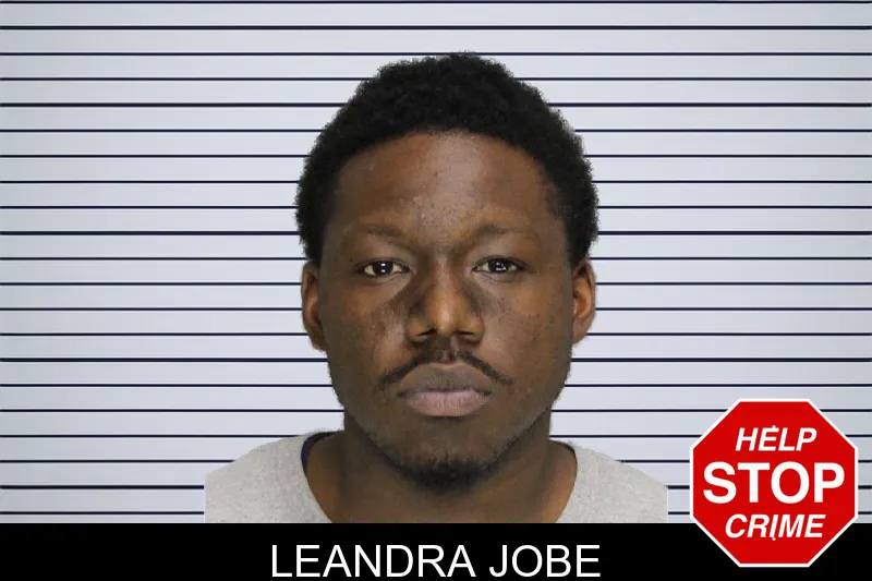 Leandra Jobe mugshot