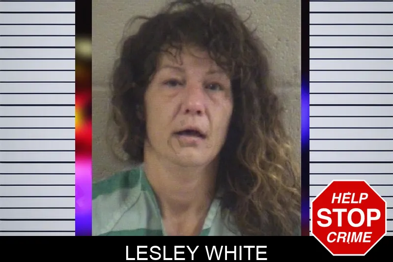 Lesley White mugshot
