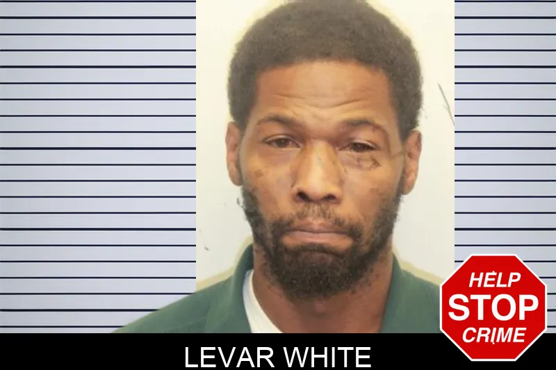 Levar White mugshot