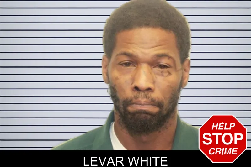 Levar White mugshot – Chatham County , Georgia Levar White mugshot