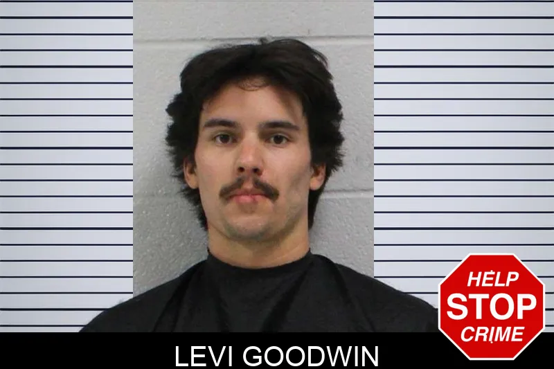 Levi Goodwin mugshot