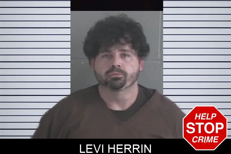 Levi Herrin mugshot – Brantley County , Georgia Levi Herrin mugshot