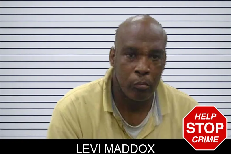 Levi Maddox mugshot