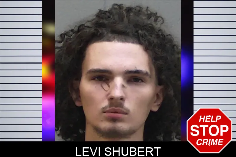 Levi Shubert mugshot