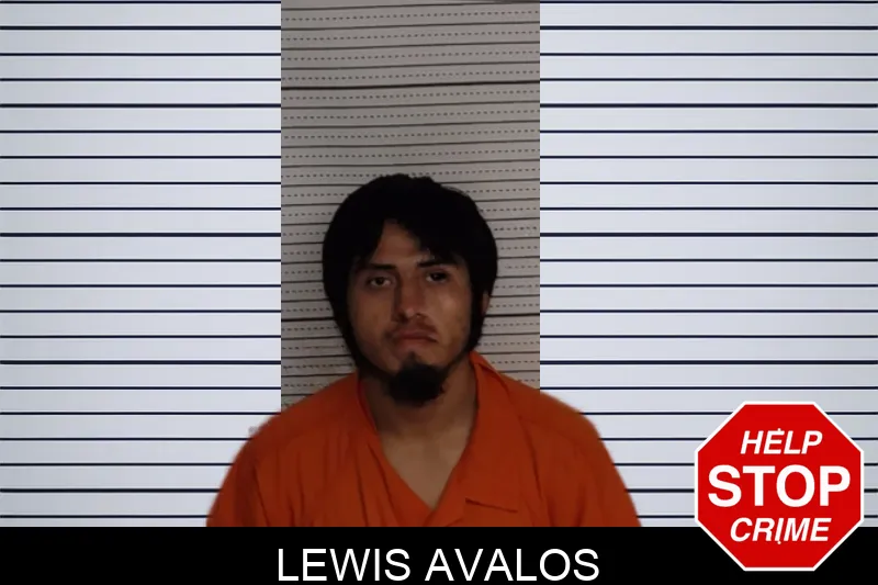 Lewis Avalos mugshot