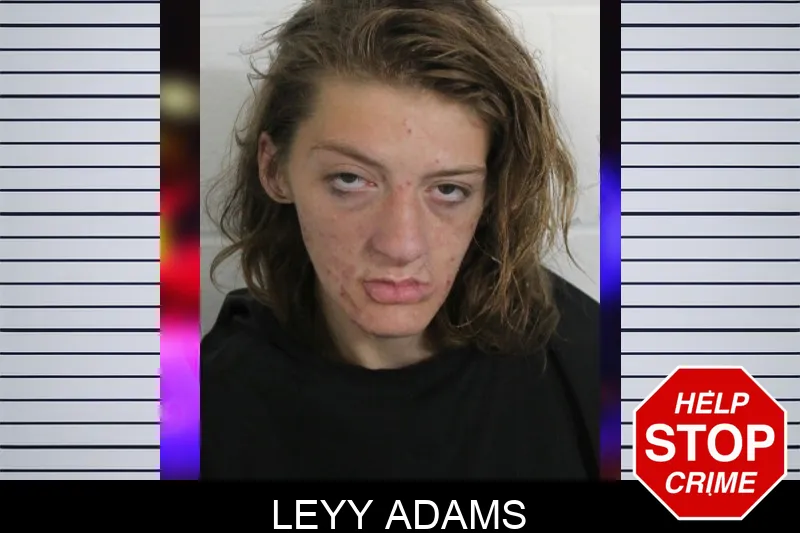 Leyy Adams mugshot
