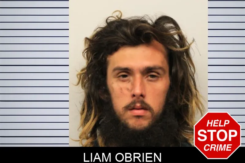 Liam Obrien mugshot – Chatham County , Georgia Liam Obrien mugshot