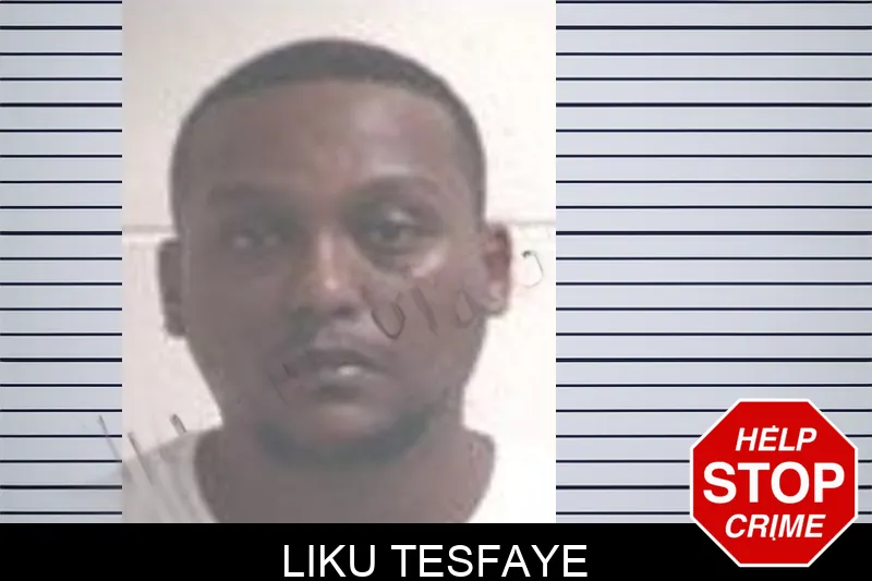 Liku Tesfaye mugshot
