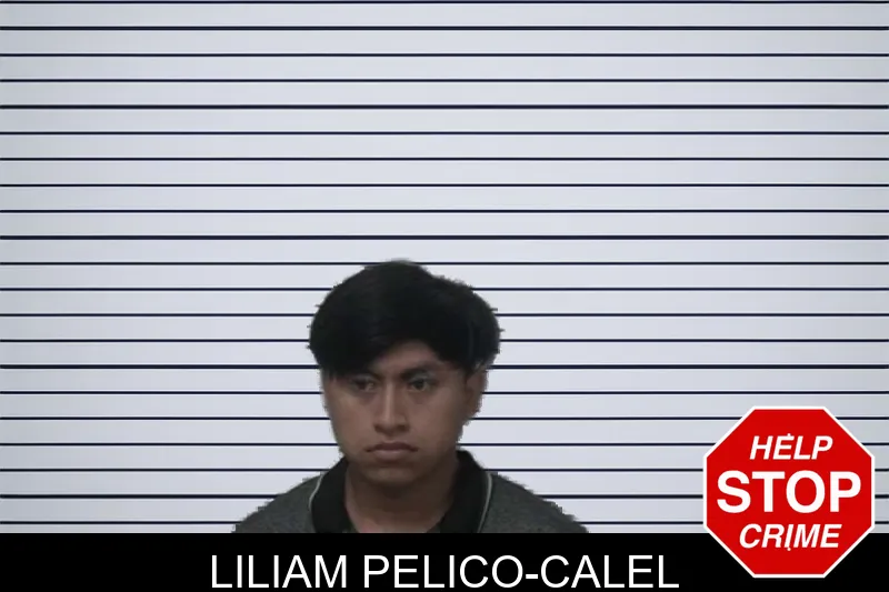 Liliam Pelico-Calel mugshot