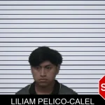 Liliam Pelico-Calel mugshot