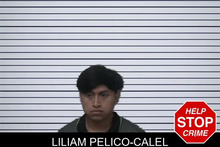 Liliam Pelico-Calel mugshot – Thomas County , Georgia Liliam Pelico-Calel