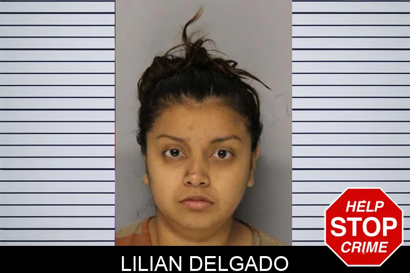 Lilian Delgado mugshot