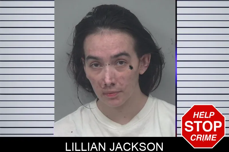 Lillian Jackson mugshot – Gwinnett County , Georgia Lillian Jackson mugshot