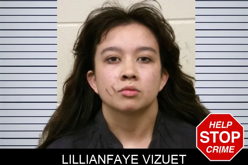 Lillianfaye Vizuet mugshot
