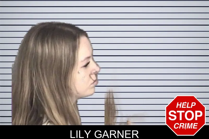 Lily Garner mugshot – Barrow County , Georgia Lily Garner mugshot