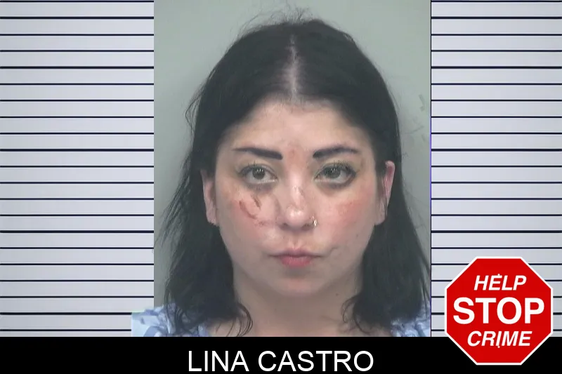Lina Castro mugshot