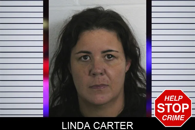 Linda Carter mugshot