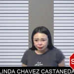 Linda Chavez Castaneda mugshot