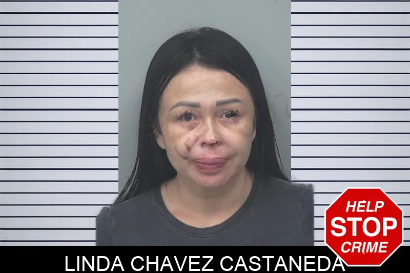 Linda Chavez Castaneda mugshot