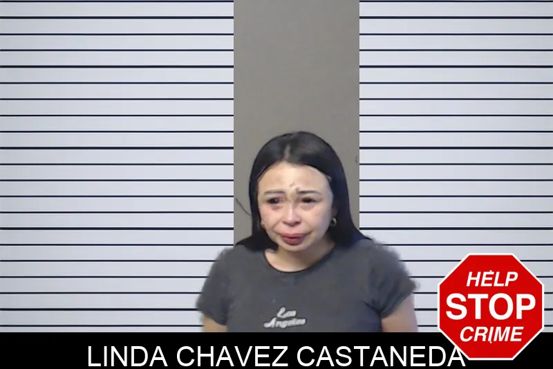 Linda Chavez Castaneda mugshot