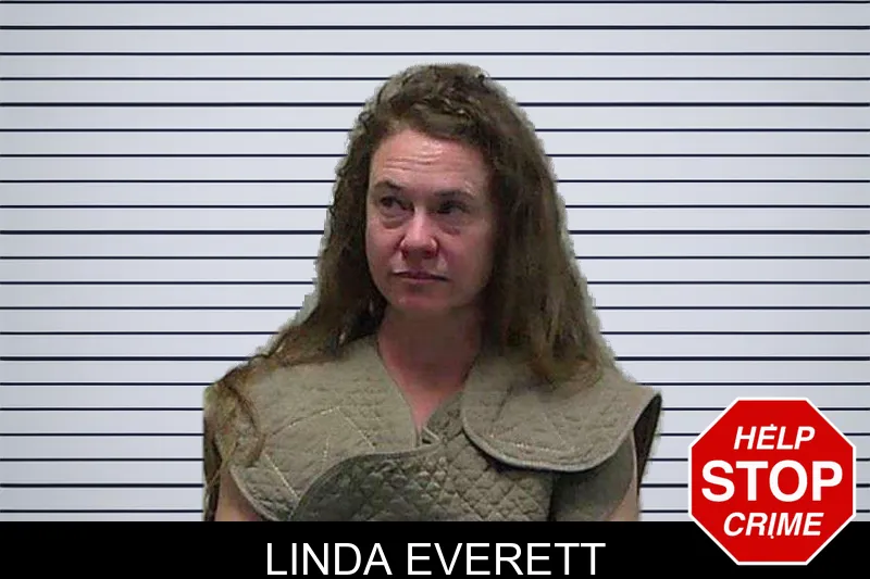 Linda Everett mugshot – Gilmer County , Georgia Linda Everett mugshot