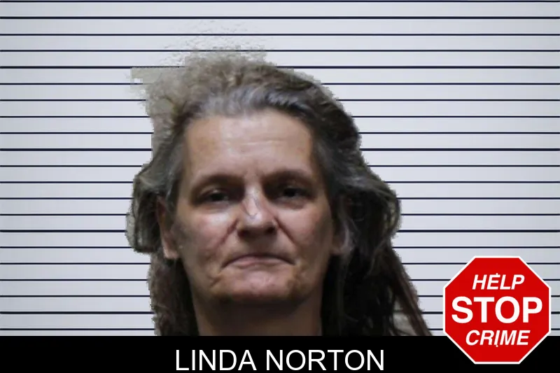 Linda Norton mugshot