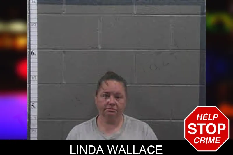 Linda Wallace mugshot