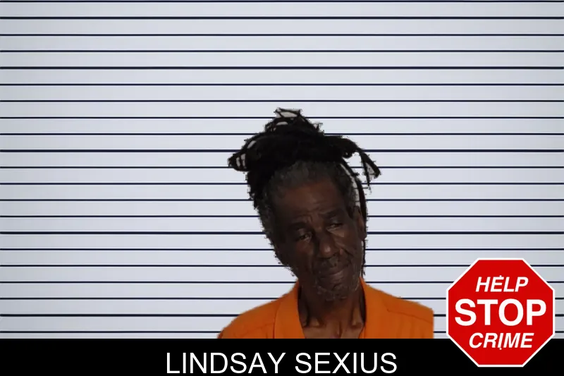 Lindsay Sexius mugshot – Rockdale County , Georgia Lindsay Sexius mugshot