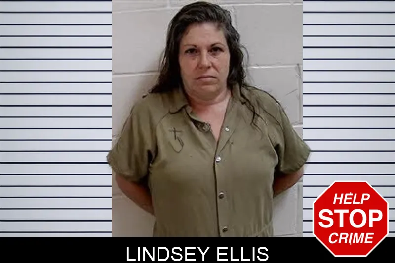 Lindsey Ellis mugshot