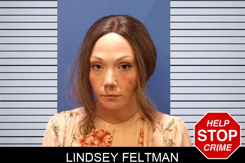 Lindsey Feltman mugshot
