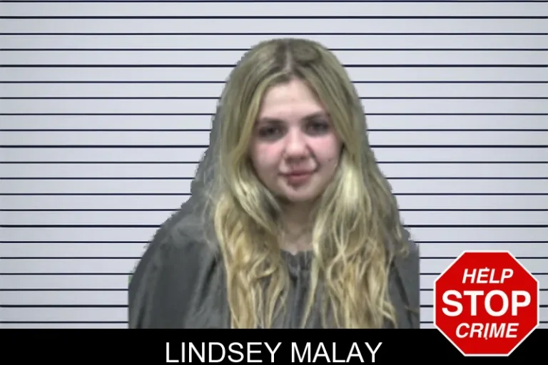 Lindsey Malay mugshot – Forsyth County , Georgia Lindsey Malay