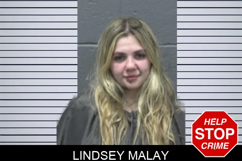 Lindsey Malay mugshot – Forsyth County , Georgia Lindsey Malay mugshot