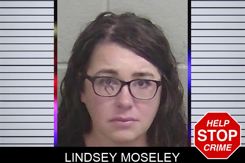 Lindsey Moseley mugshot