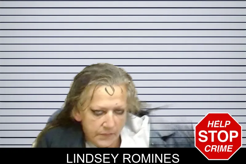 Lindsey Romines mugshot