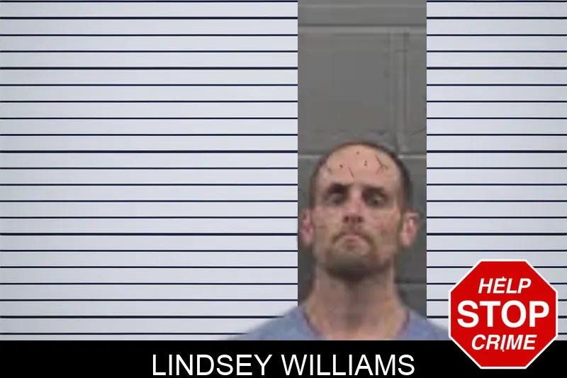 Lindsey Williams mugshot