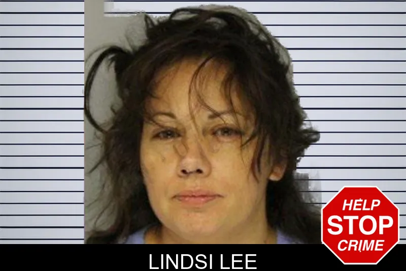 Lindsi Lee mugshot