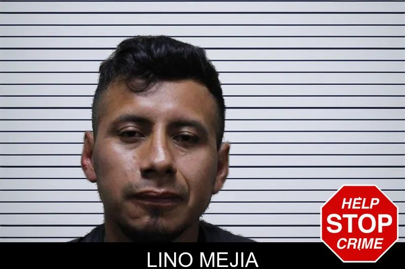 Lino Mejia mugshot