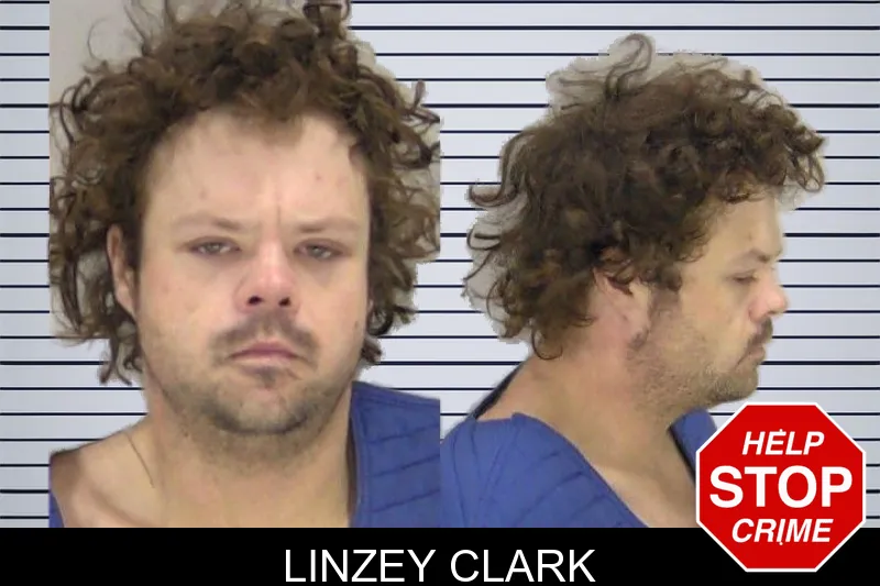 Linzey Clark mugshot
