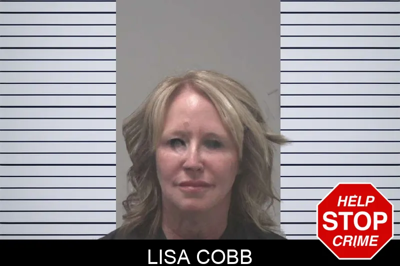 Lisa Cobb mugshot