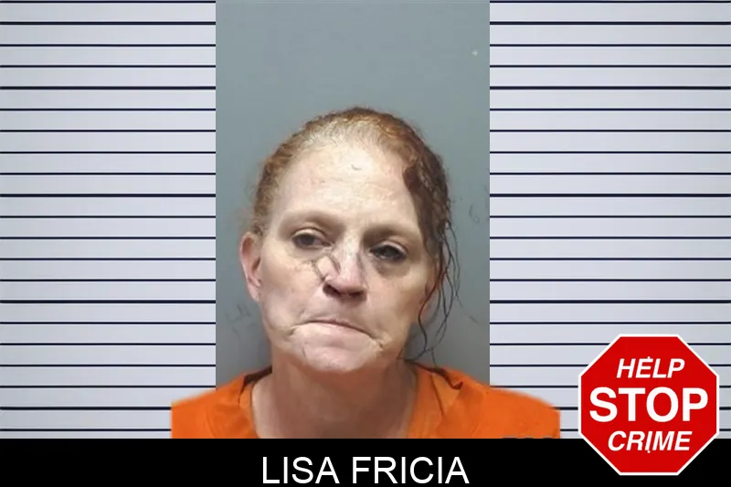 Lisa Fricia mugshot