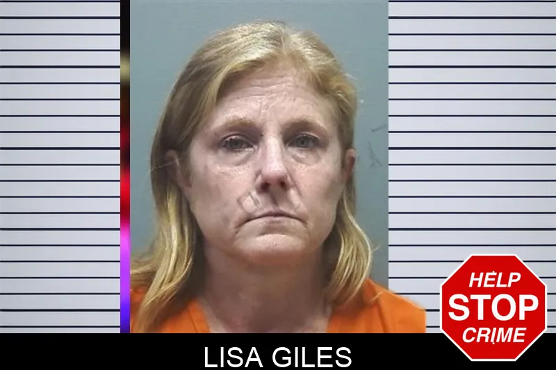 Lisa Giles mugshot
