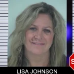 Lisa Johnson mugshot