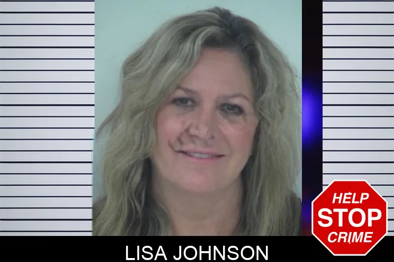 Lisa Johnson mugshot