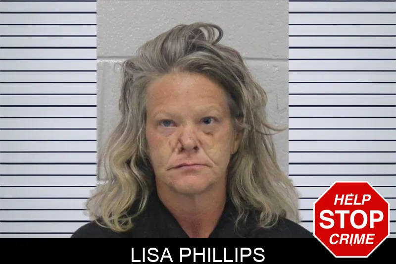 Lisa Phillips mugshot