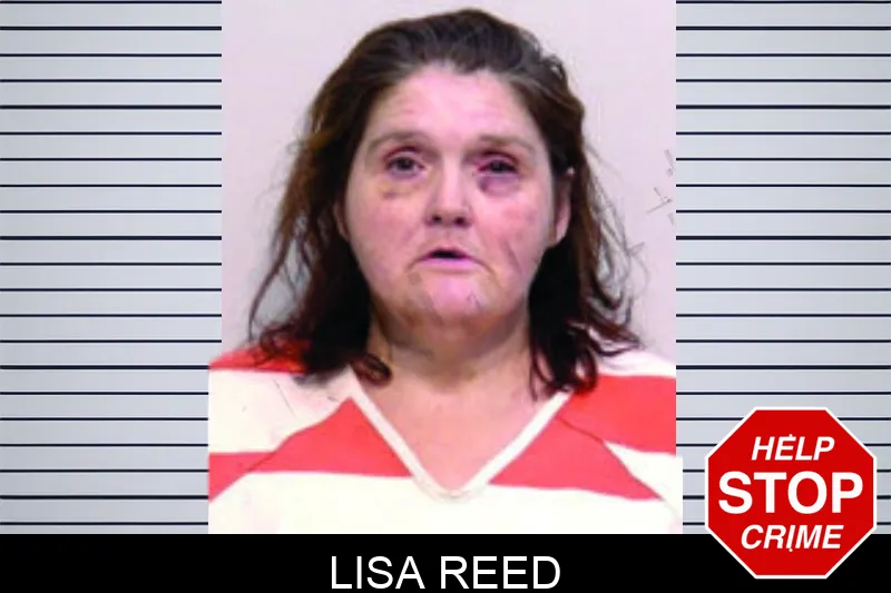 Lisa Reed mugshot – Bartow County , Georgia Lisa Reed mugshot